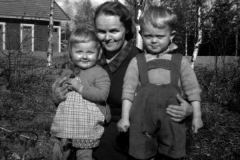 145-halivaara-1952