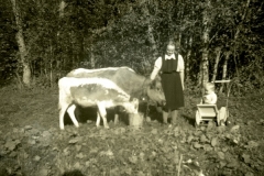 AiliPekkaÄpyli